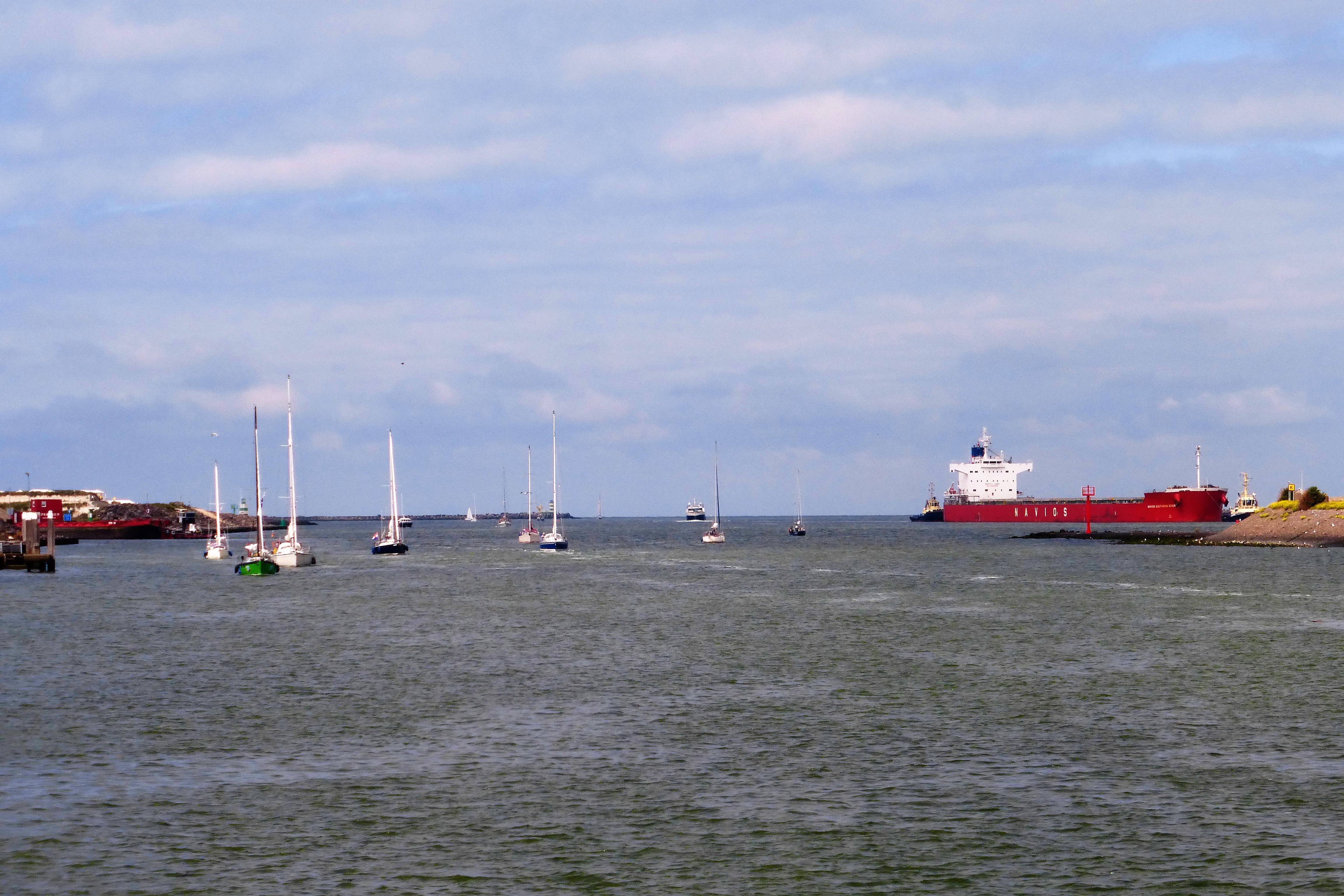 Pieren IJmuiden   24-07-20 